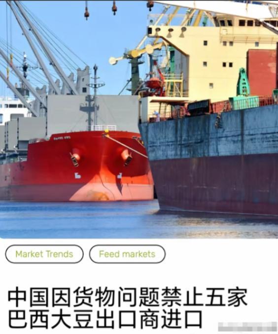 真是扶不起的阿斗。与美国同样卖大豆给中国的巴西，现在应该醒目一点才是，但是据路透