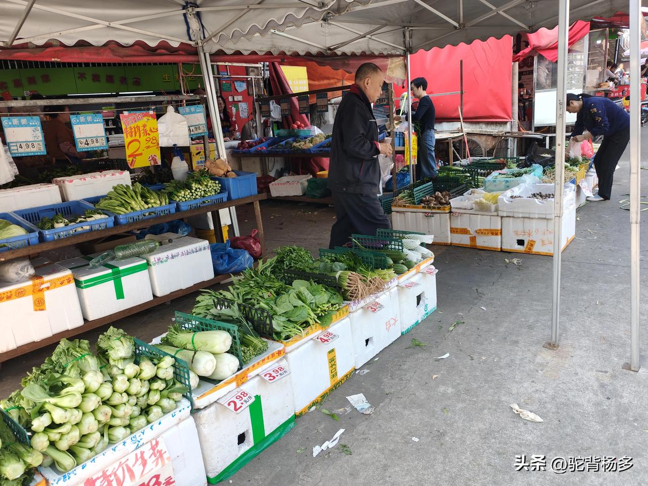 晒图笔记大赛星期天去买菜，超市在卖菜，菜市场在卖菜，地摊也在卖菜，我难了，到底应