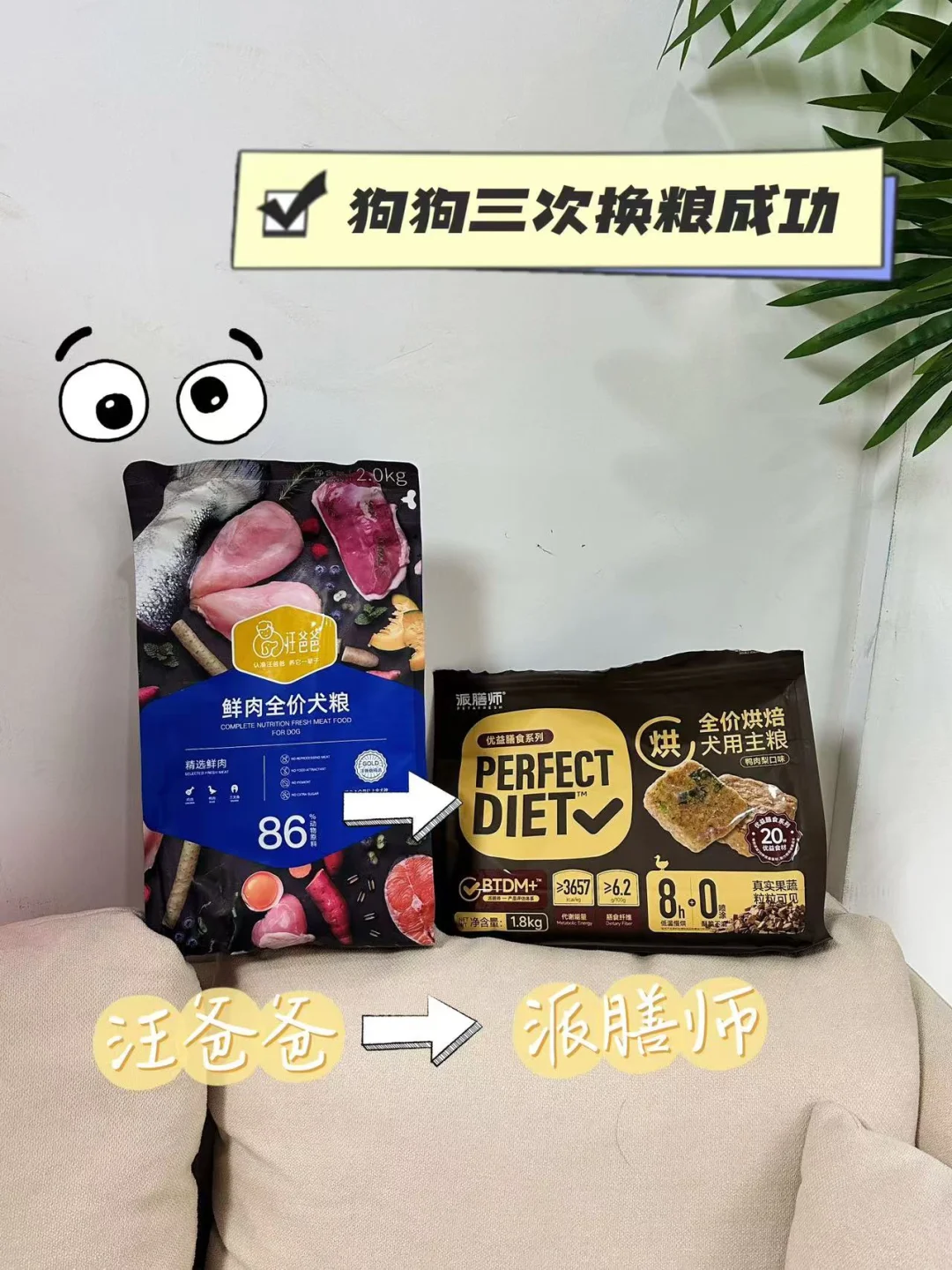 我家狗狗成功第三次换粮⭐️