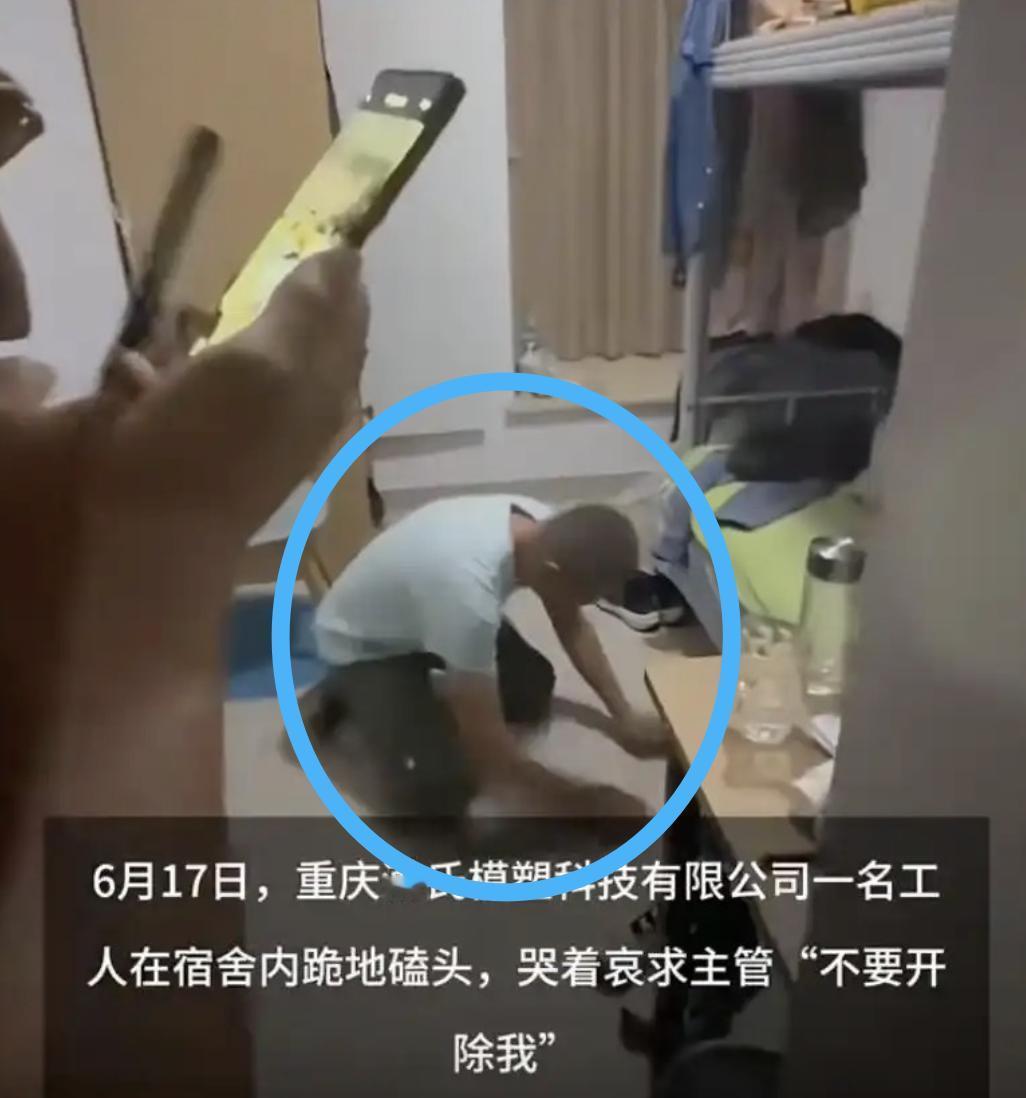 看了10遍重庆工人下跪磕头视频，其实最恨的不是躺在床上玩手机视若无睹的主管，而是