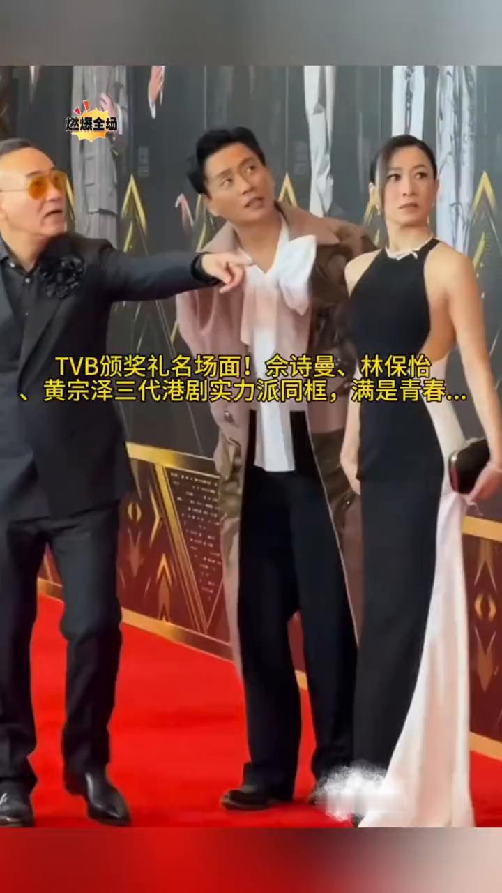 TVB颁奖礼名场面！佘诗曼、林保怡、黄宗泽三代港剧实力派同框，满是青春。
喜欢就