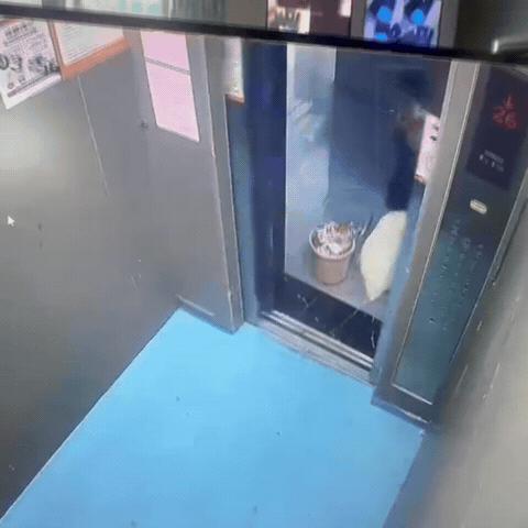 好样的，凭借一己之力拉低整栋楼的房价。