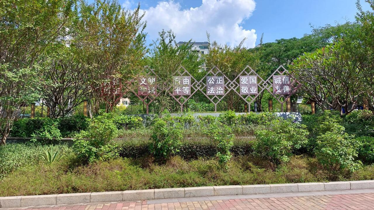 运动公园，市图书馆旁边的运动公园。[赞][赞][赞]