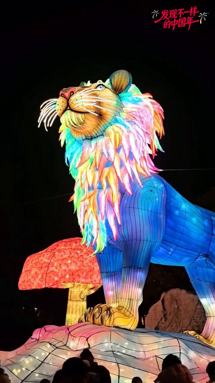 发现不一样，瑞狮震山妖。
洛阳王城公园瑞狮花灯很美好。