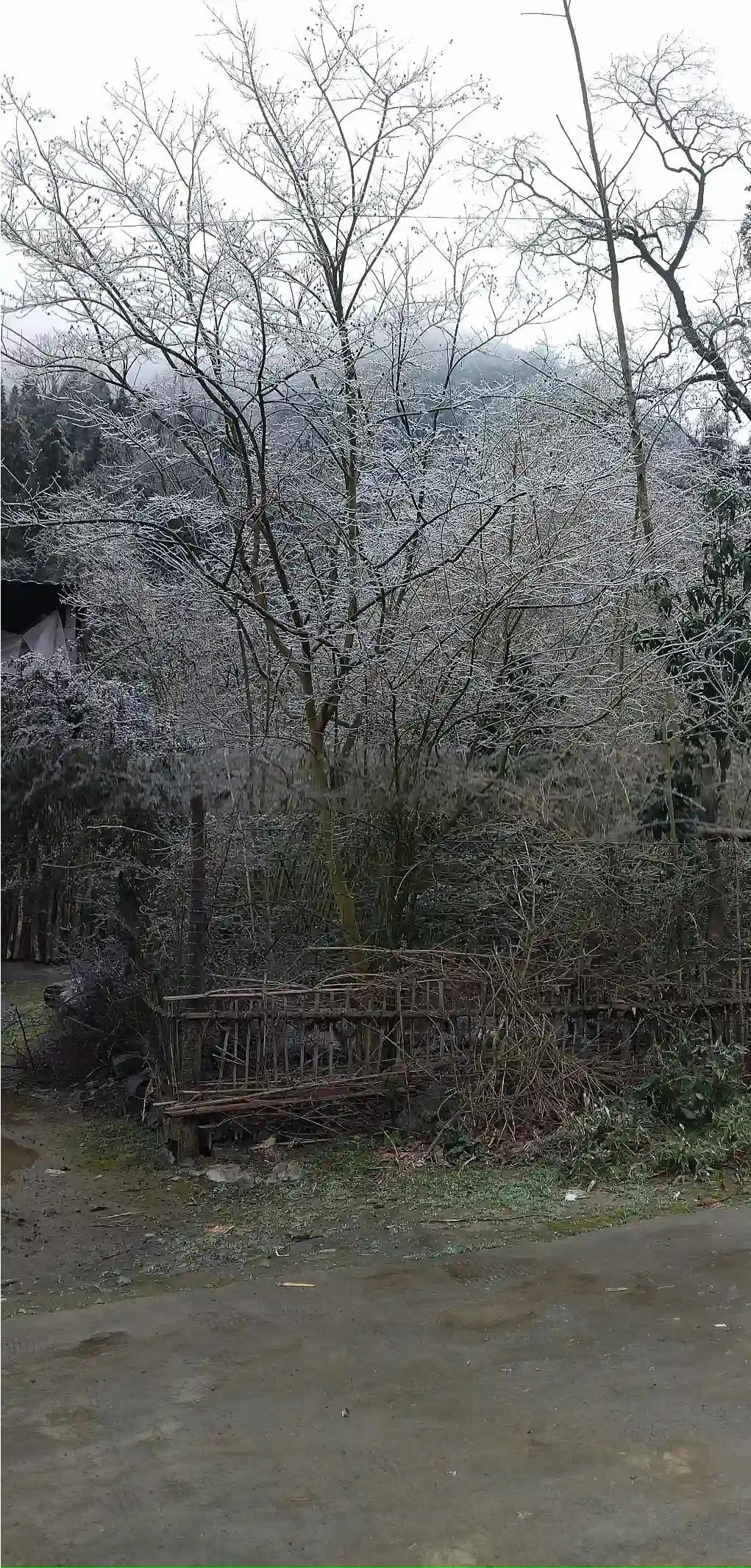 是雪是冰皆风景，
大山深趣有真情，
冬季美景陶醉人，
春天万物各自生。
夏日繁花