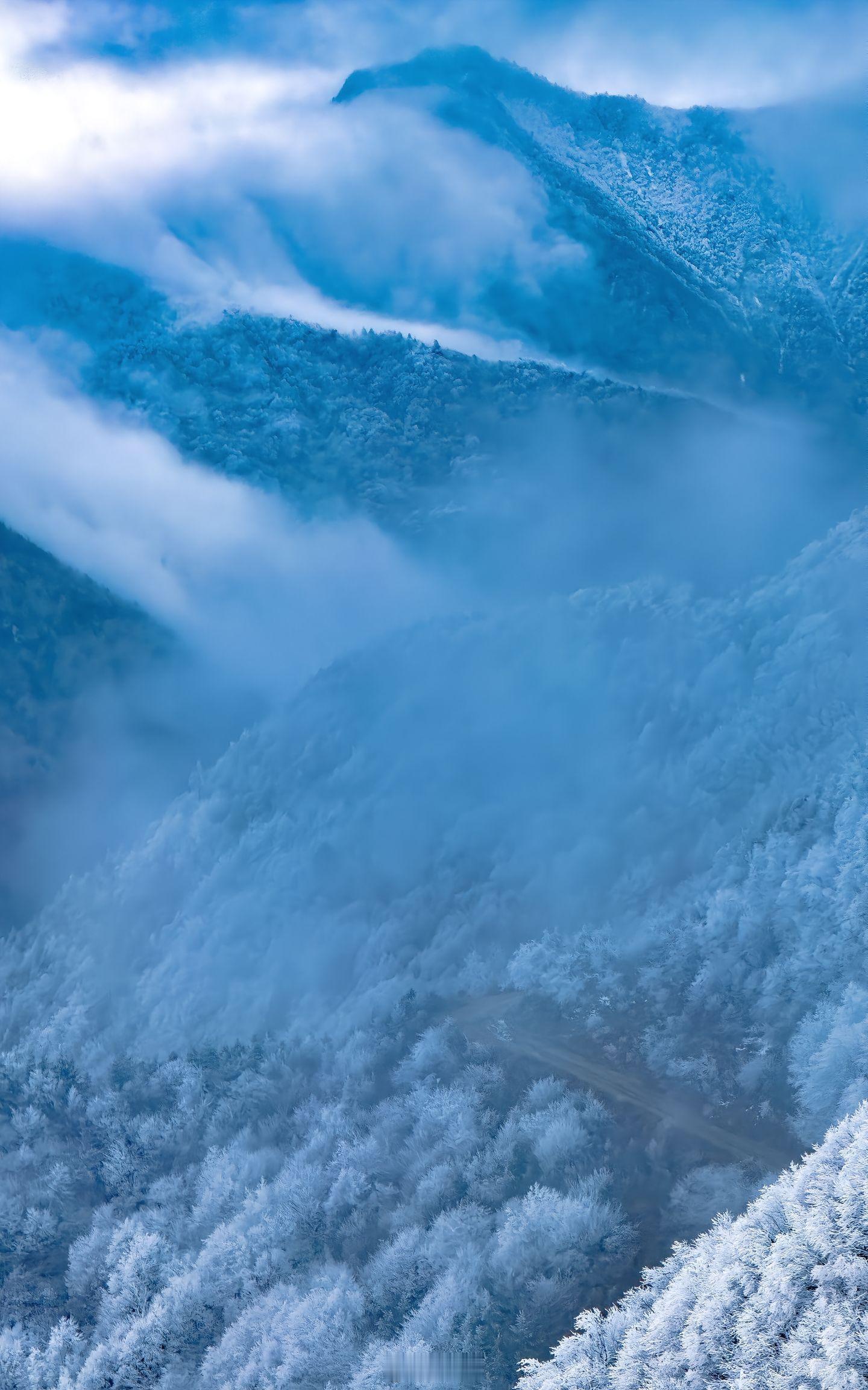 谁懂四人同雾凇的绝美！往返25公里、爬升700米虽磨人，但植被繁茂，雪后生态超棒