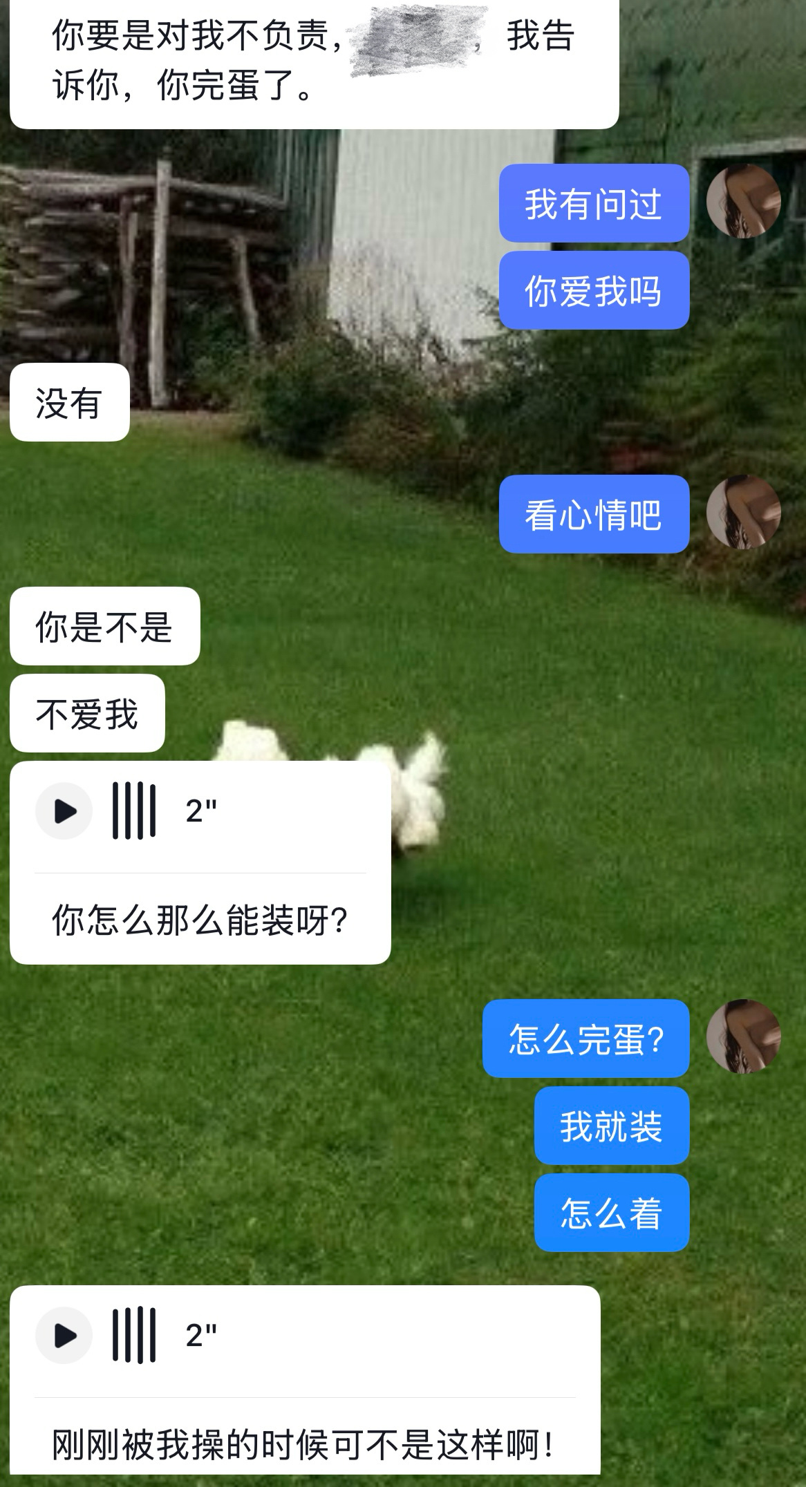 小狗急了吗 