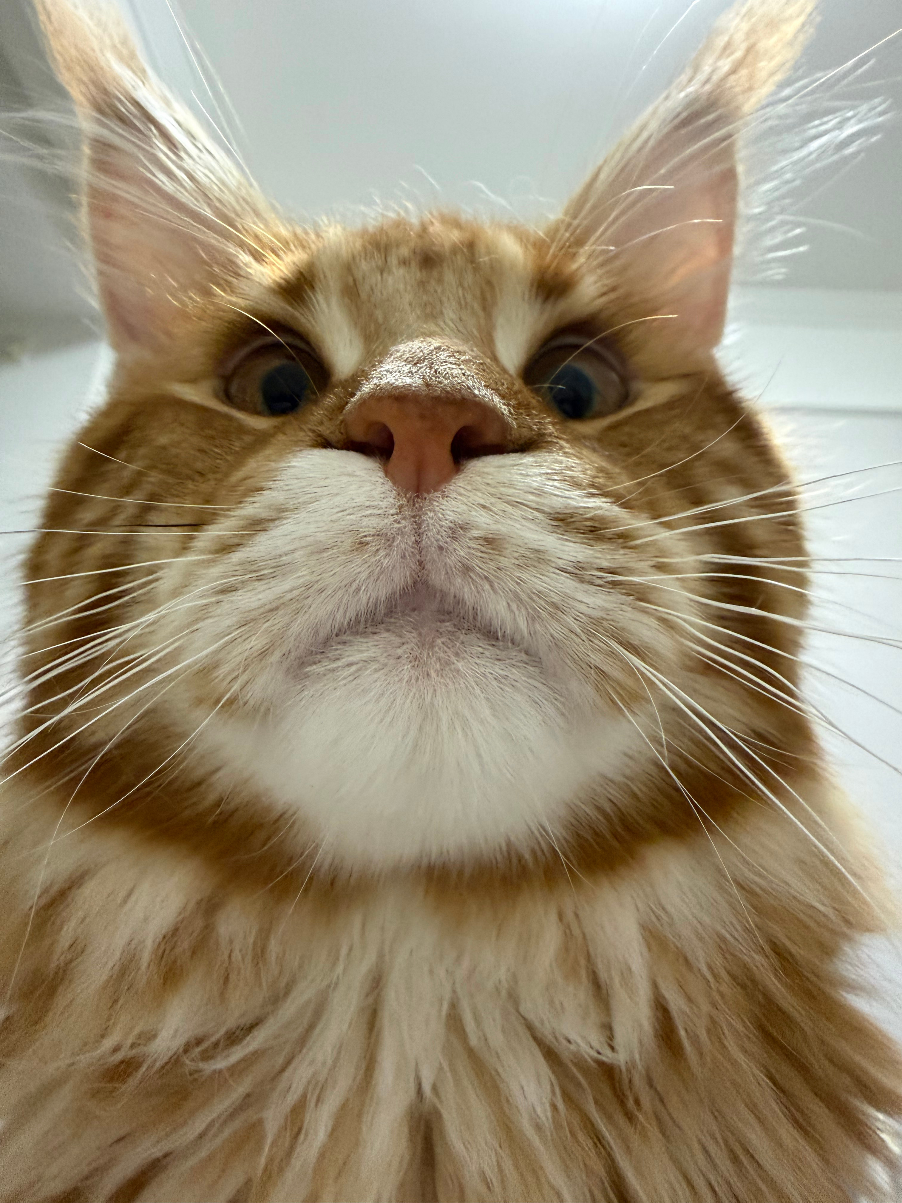 眨眼😉 
