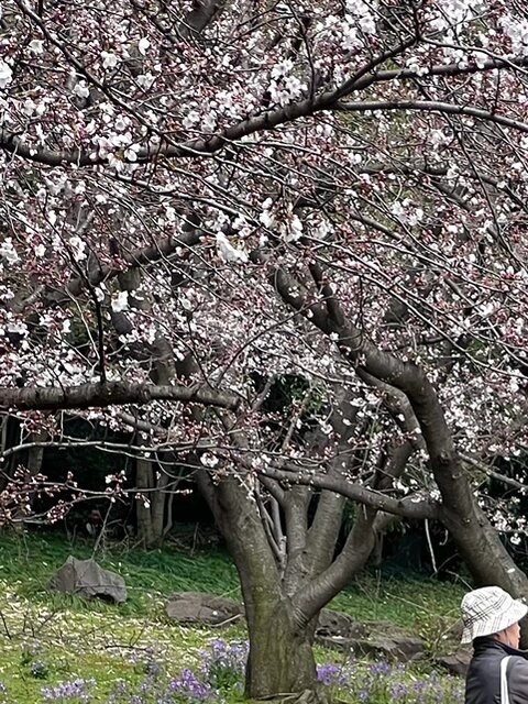 《登鹳雀楼》唐·王之涣白日依山尽，黄河入海流。欲穷千里目，更上一层楼。 