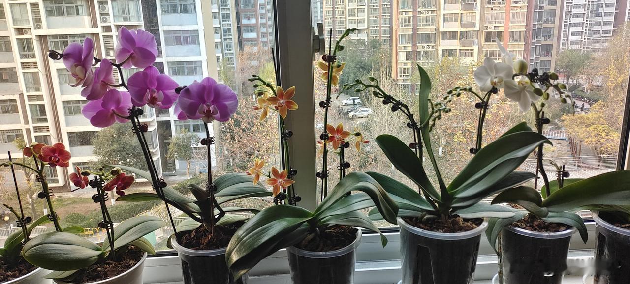 还有不到10000块钱就回本了，炒17年的股，起起伏伏的，总是在亏钱的氛围里，大