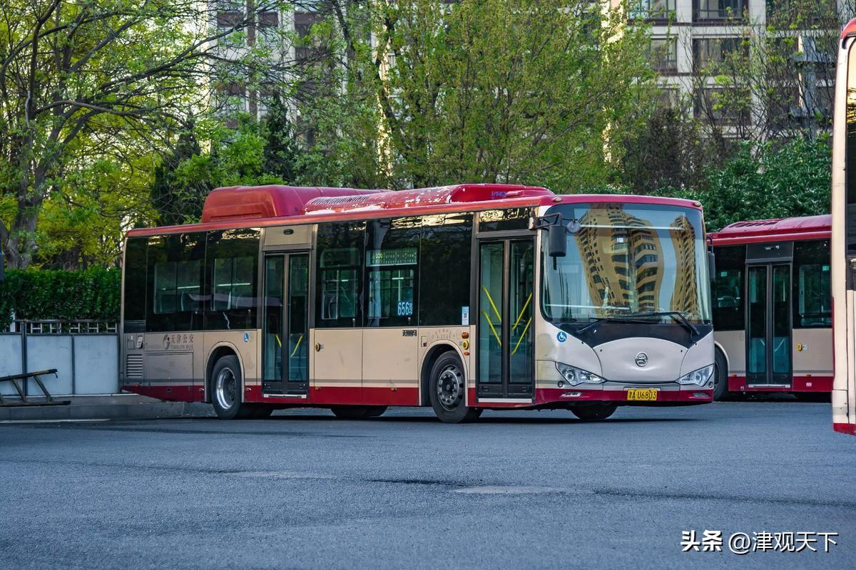 最新消息，天津市这3条公交拟停运！

滨海新区经常坐公交的朋友注意了，这几天如果