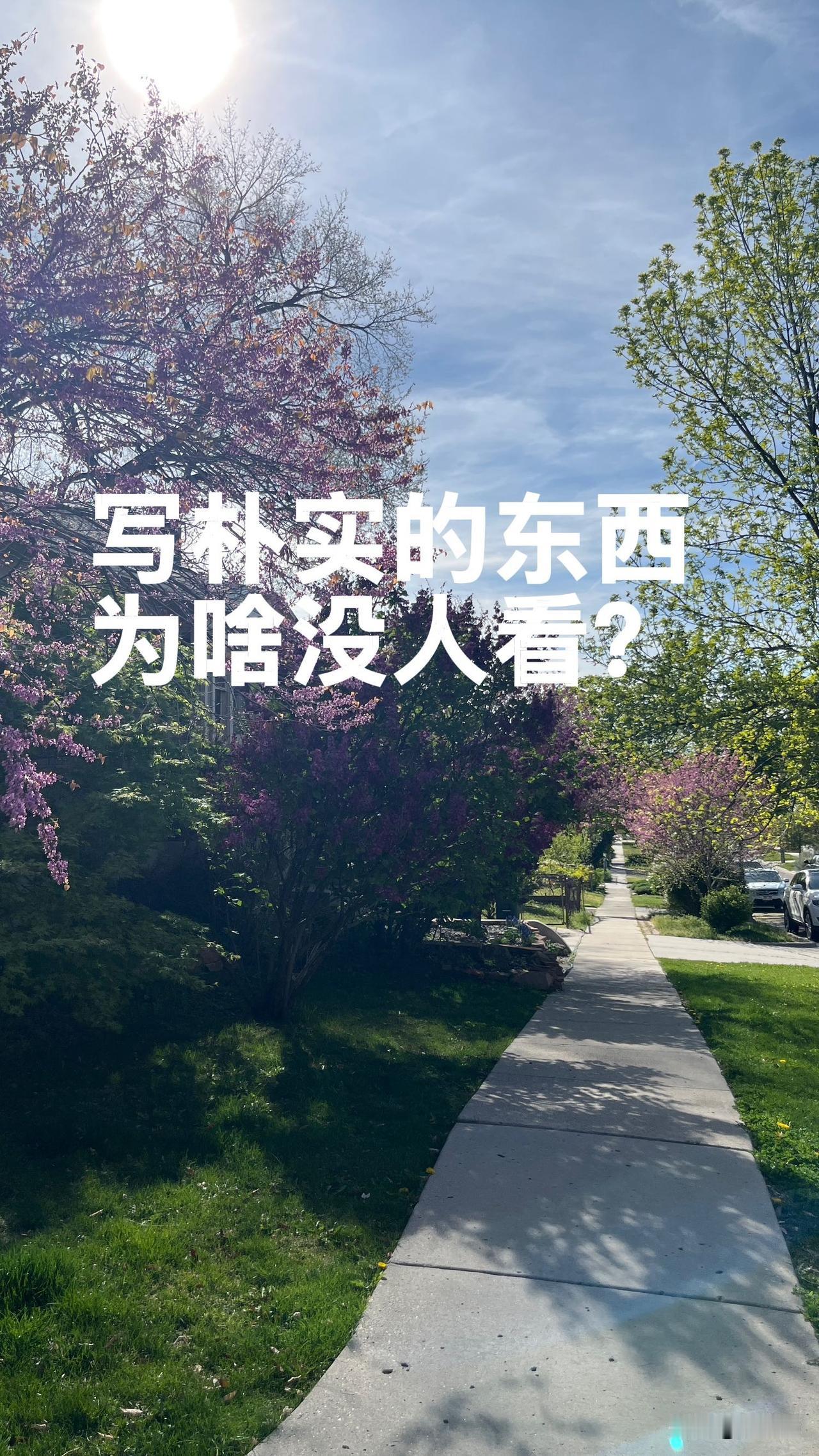 你有没有发现一个很奇怪的现象？
越认真写的东西，越没人看；越乱写的东西，反而越容