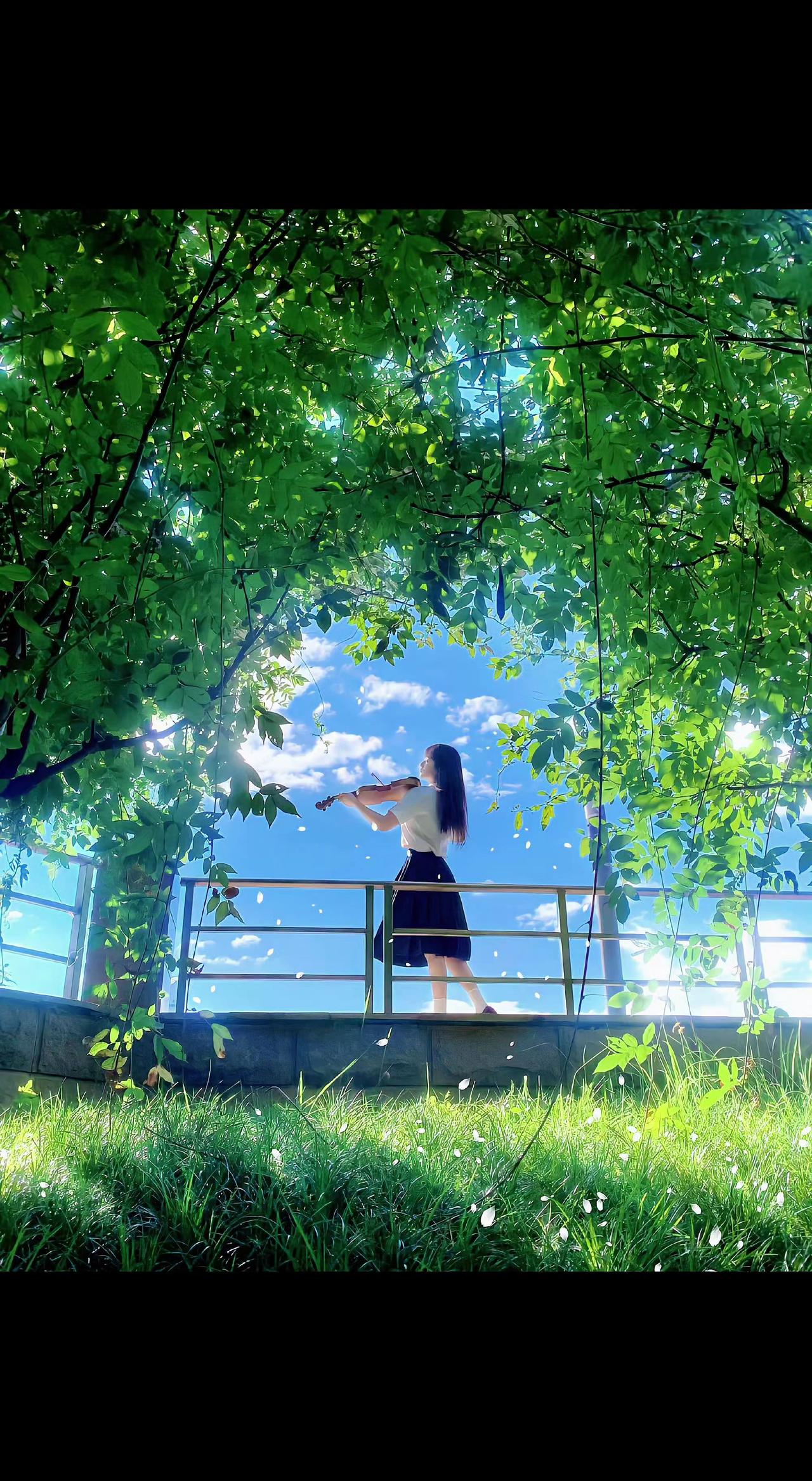 🎻弓弦轻颤，阳光碎成金箔落满肩头✨。树影织就穹顶，音符乘着风吻过青草🌿。此刻