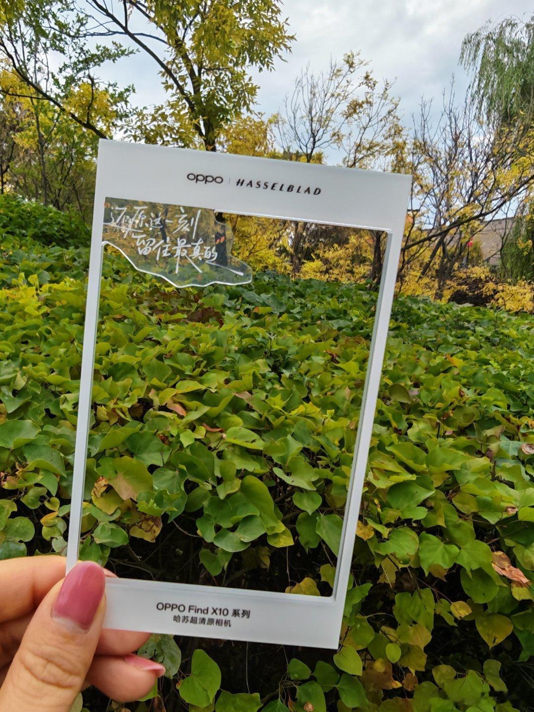 你有多久没用原相机记录真实的自己？今天收到一封特殊的邀请函OPPO Find X