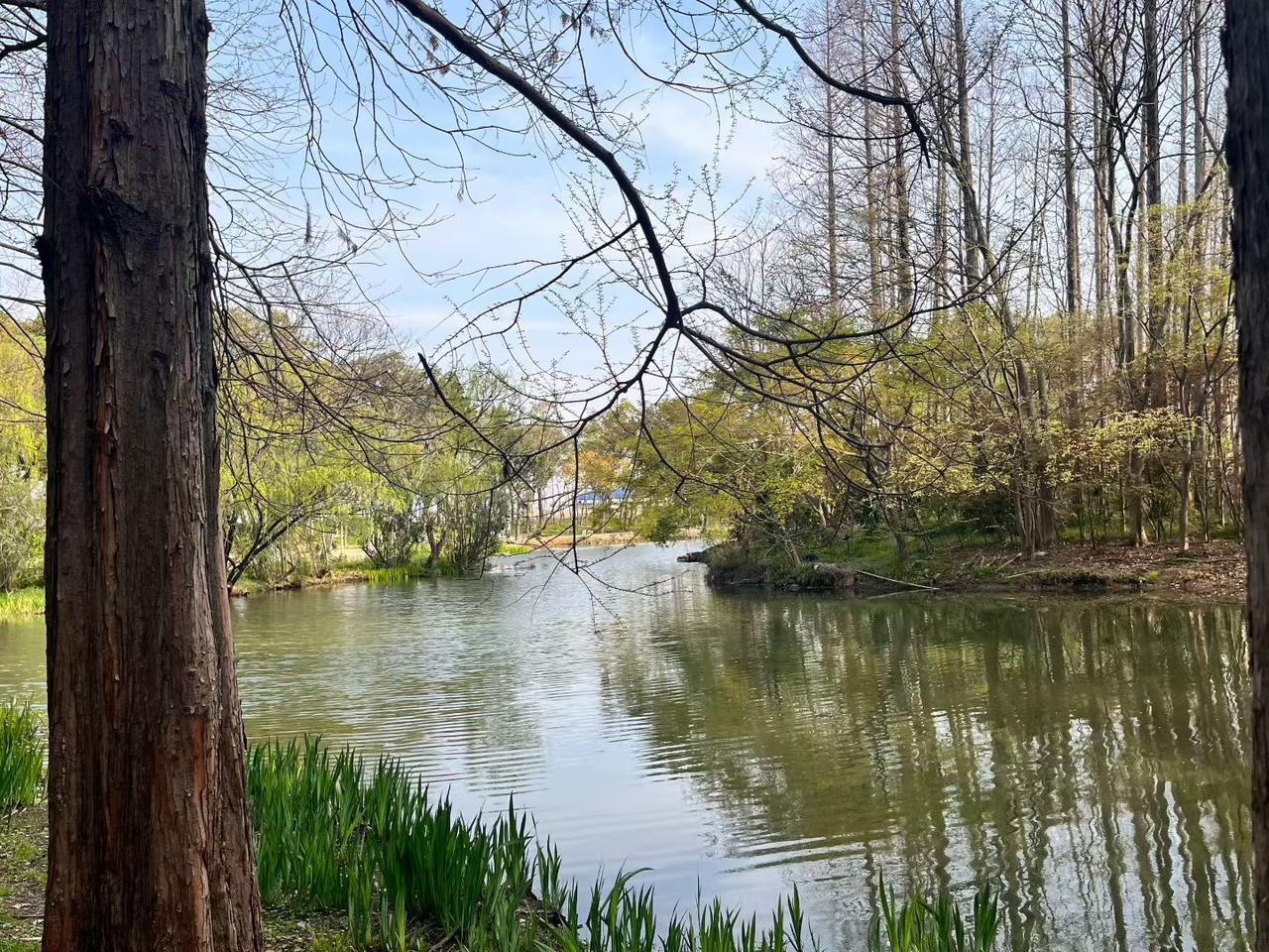 ☀️
美好的一天开始啦！

以最大的善意，去爱我们不确定的生活，接纳所有无常，也