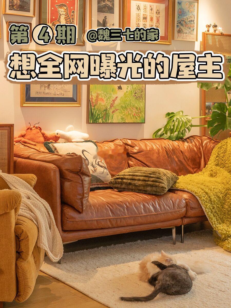 想全网曝光的第4位屋主｜通铺木地板超爽！