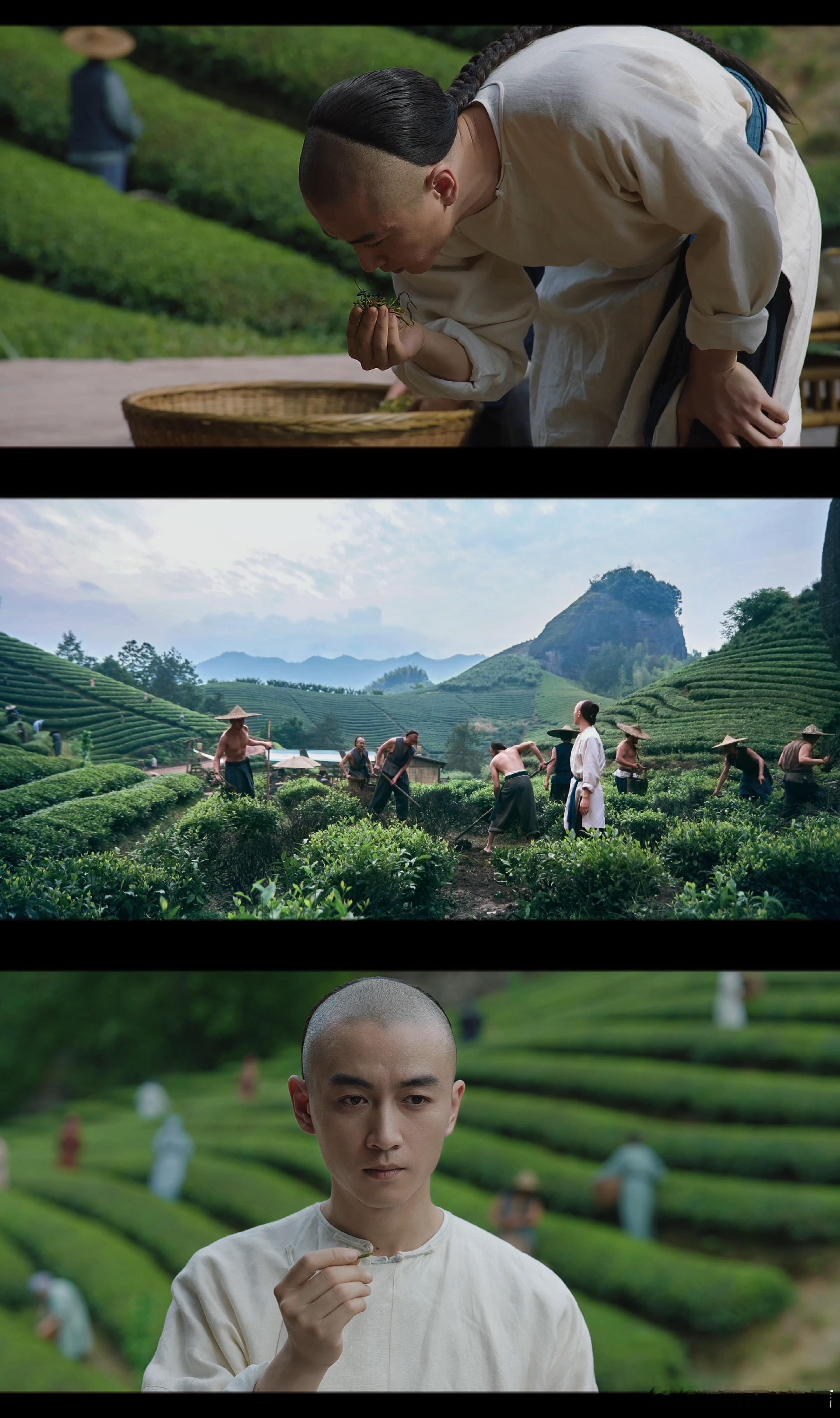 主创阵容稳了！导演张挺手握《天下长河》《大明风华》，剧本质量绝对有保障～ 