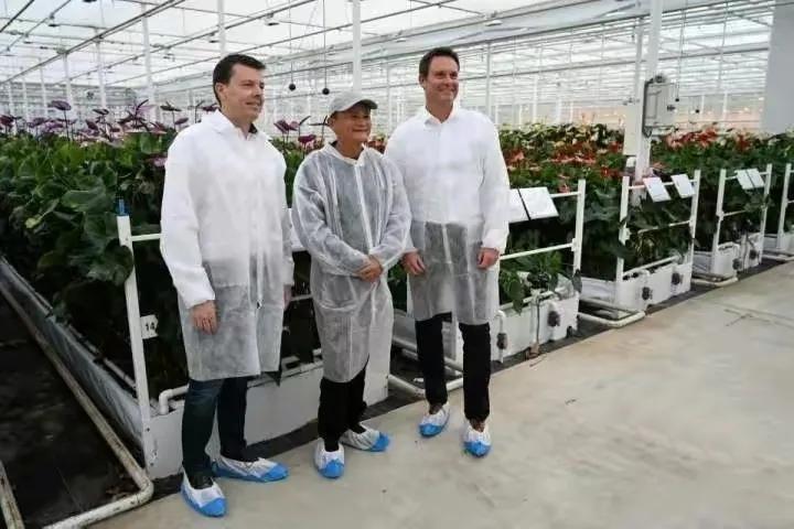 马云销声匿迹几年后，重新出山成立“马家厨房”，布局预制菜行业，如果马云自己也吃，