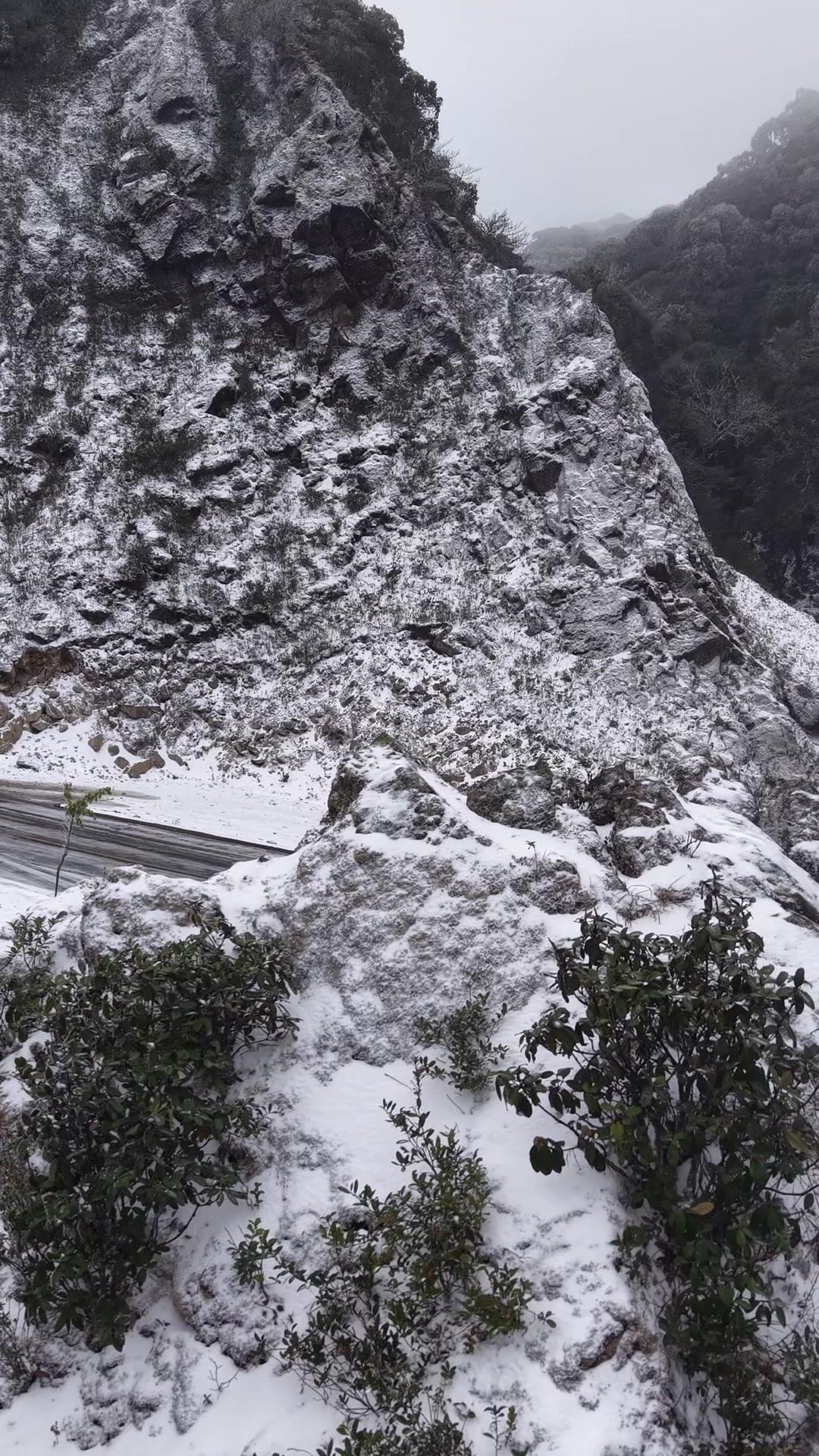 哀牢山的雪真的美到失语！银装素裹的山间，树枝挂满冰凌，阳光洒下来闪着细碎的光，仿
