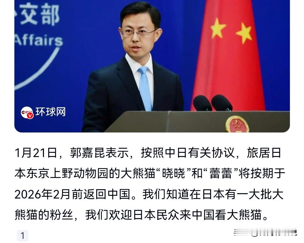 在日本唯二的两只中国大熊猫，将在2026年2月前返回中国。
那就是这几天的事了。