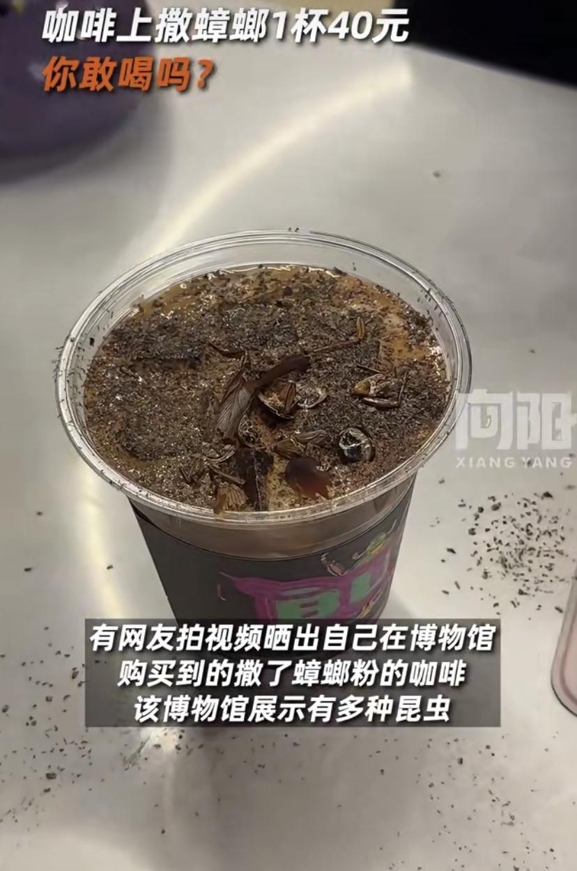 你敢想象，一杯撒了蟑螂粉的咖啡吗?北京一家博物馆就把这个脑洞变成了现实。为了配合