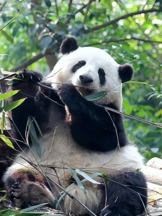 真搞不懂排队两小时看花2分钟的人是怎么想