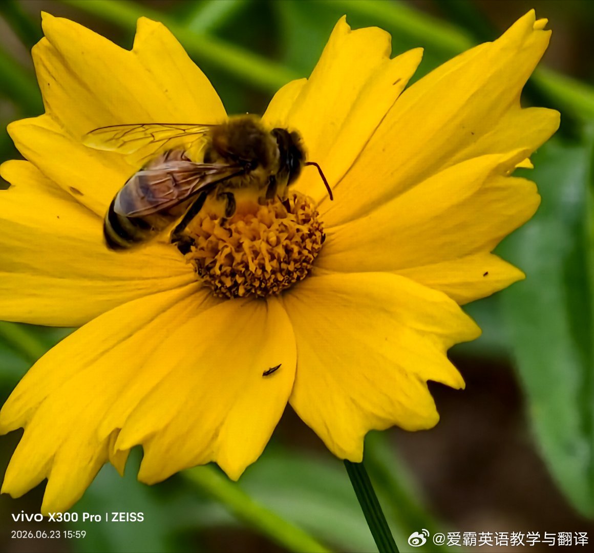 后来我听懂了村上春树说过的这句话:“不要太乖，不想做的事可以拒绝，做不到的事，不