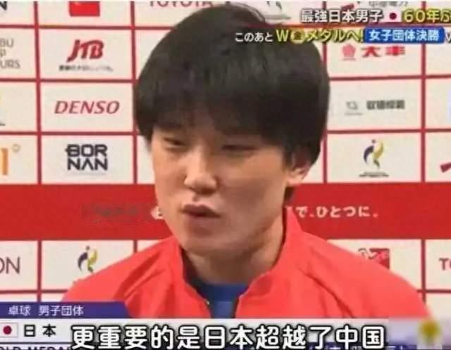 张本智和手握金牌，中日乒乓再起波澜，系统对抗已悄然铺开