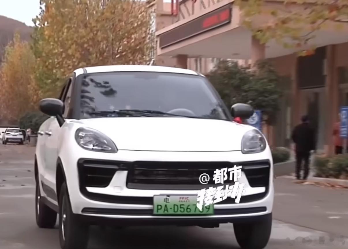 花2万买保时捷小卡宴车标竟是驴 好家伙，“老头乐”照着保时捷外观做啊，车标还是一