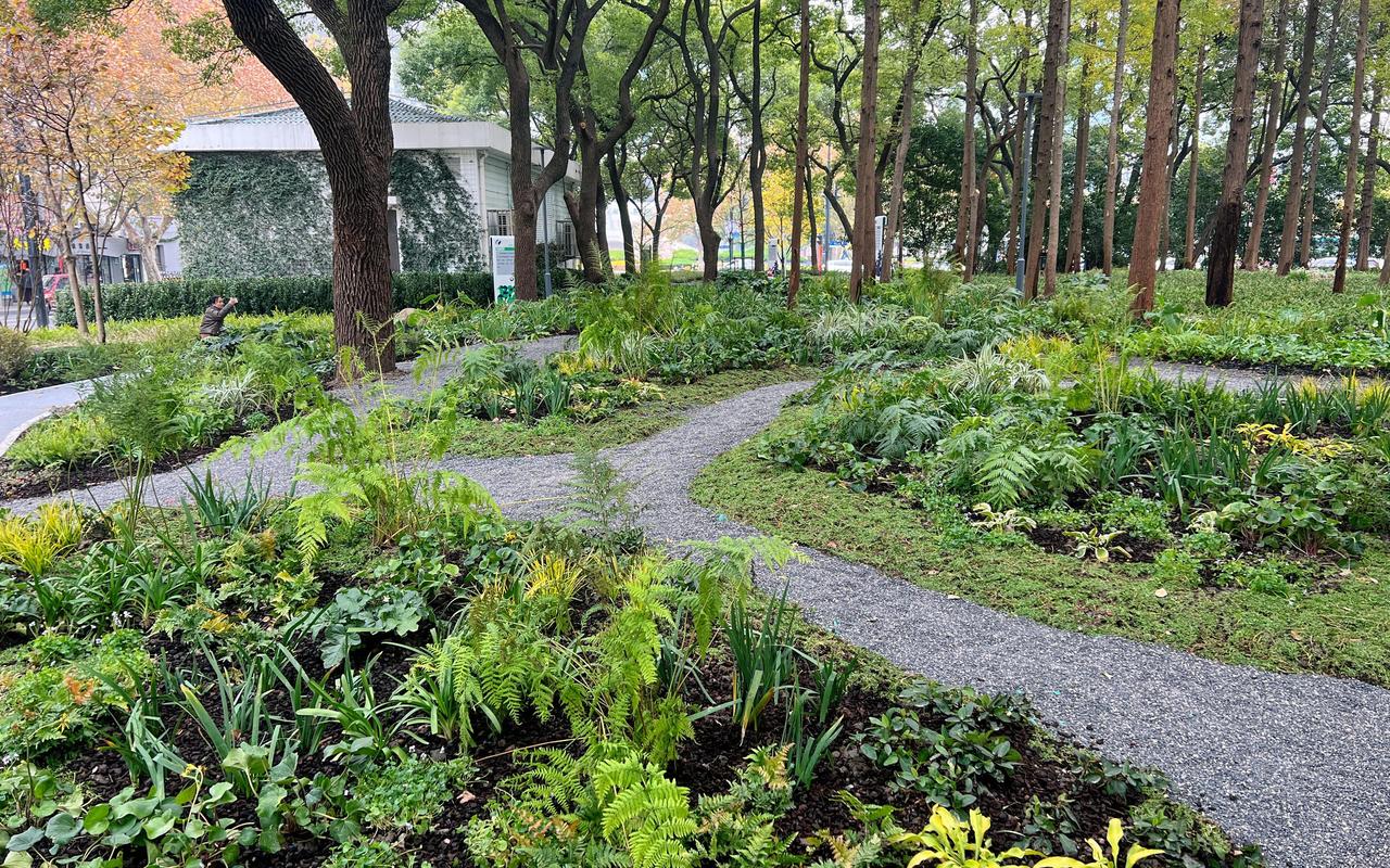 上海建成千座公园消暑，欧洲的环保双标太刺眼
 
我酷爱逛城市绿地，亲眼见证上海成