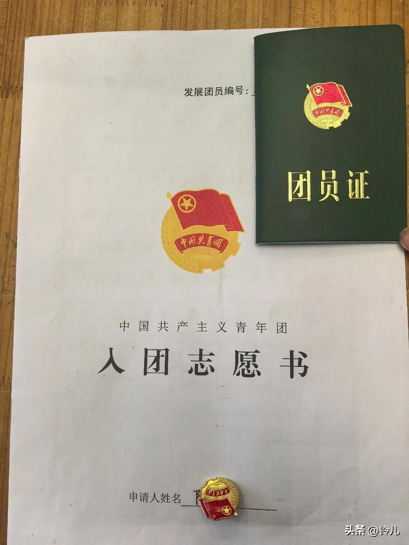 2026版严禁入团入队违规 ：严禁在学生入团、入队和班干部选拔等工作中，出现谋取