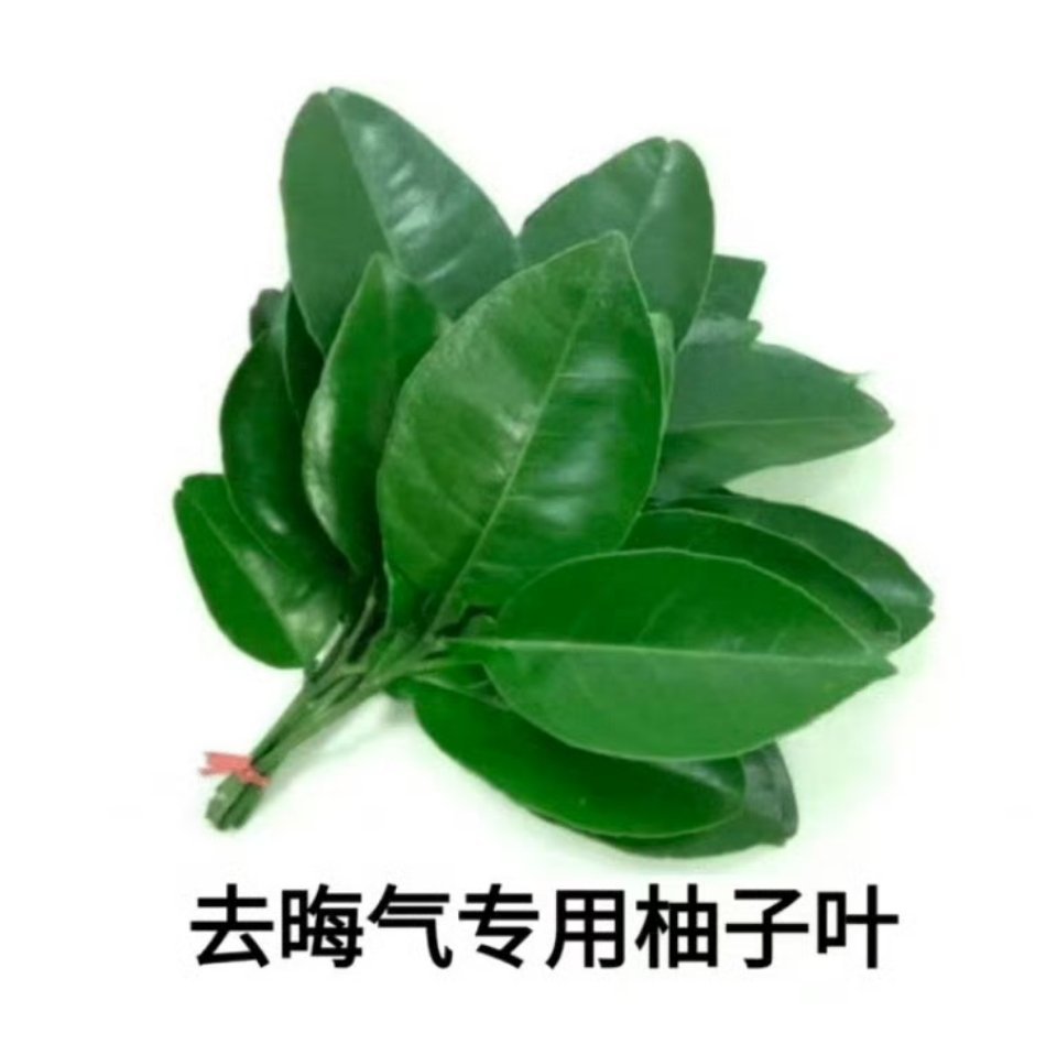 保佑霉气退退保佑离谱赛程退退抽5个喝🥛🥛🥛迎接团体   