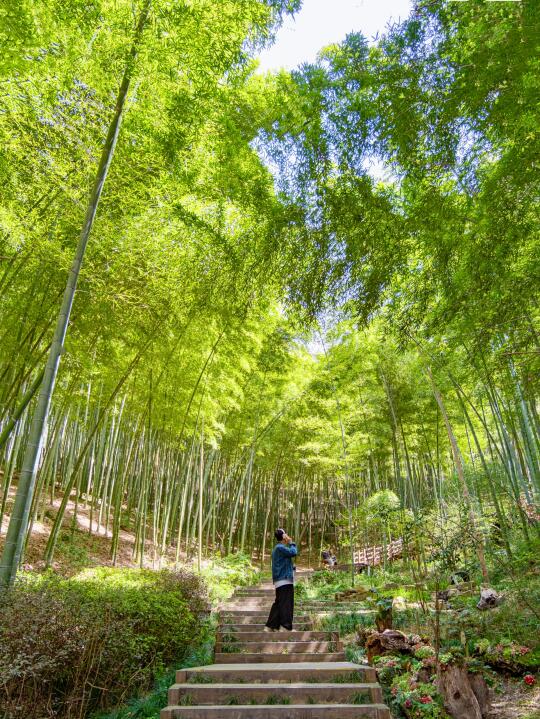 挑战周末杭州出发！原来天目湖也能这么宝藏