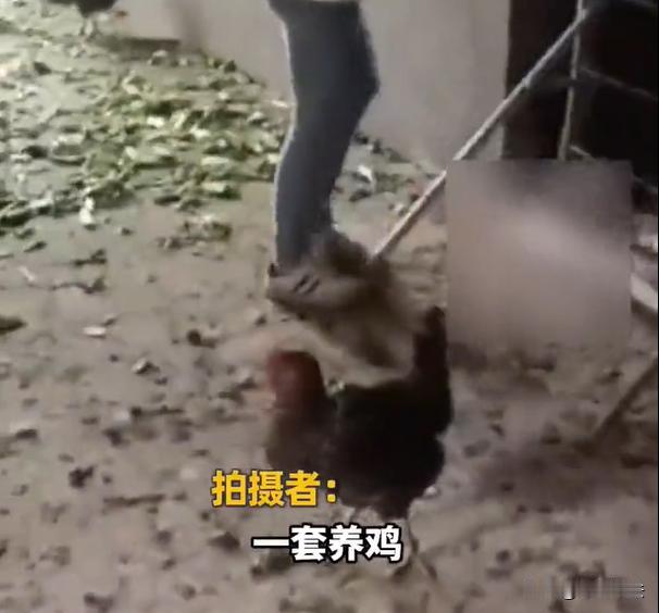四川，一处小区业主，最近拆迁分到两套房。业主突发奇想，自己还有别处房产，这套房子