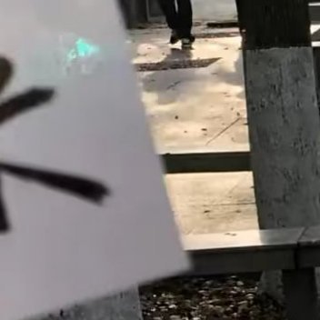 走在一条开满桃花的路上，云蒸霞蔚，前途似锦。——季羡林《留德十年》 ​ ​​​