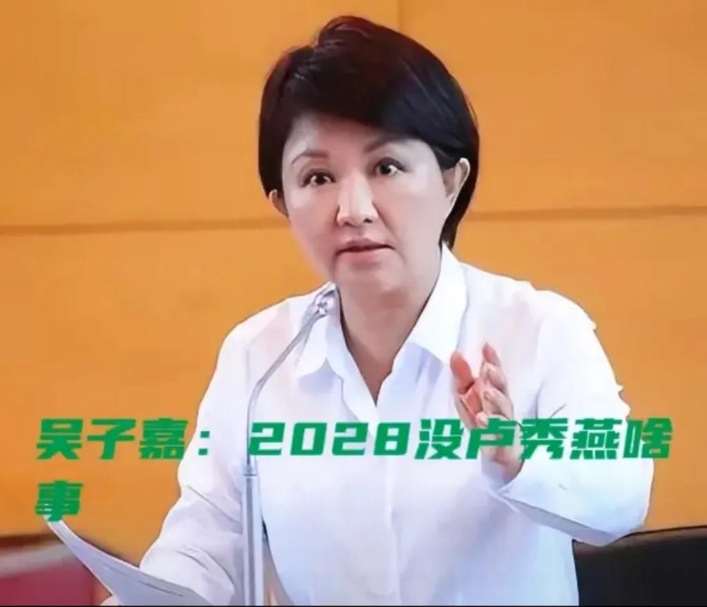 卢秀燕跑去基隆这一趟，那点心思简直全写脸上了。

        有立委搁那儿猛