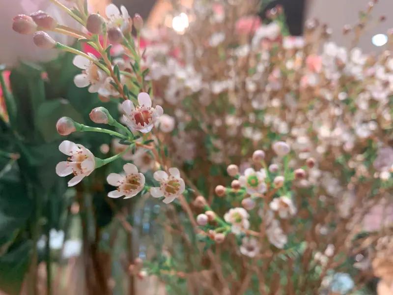 快乐每一天，幸福每一年，健康到永远，年年挣大钱，愿这份美好与春日的温柔一同相伴！