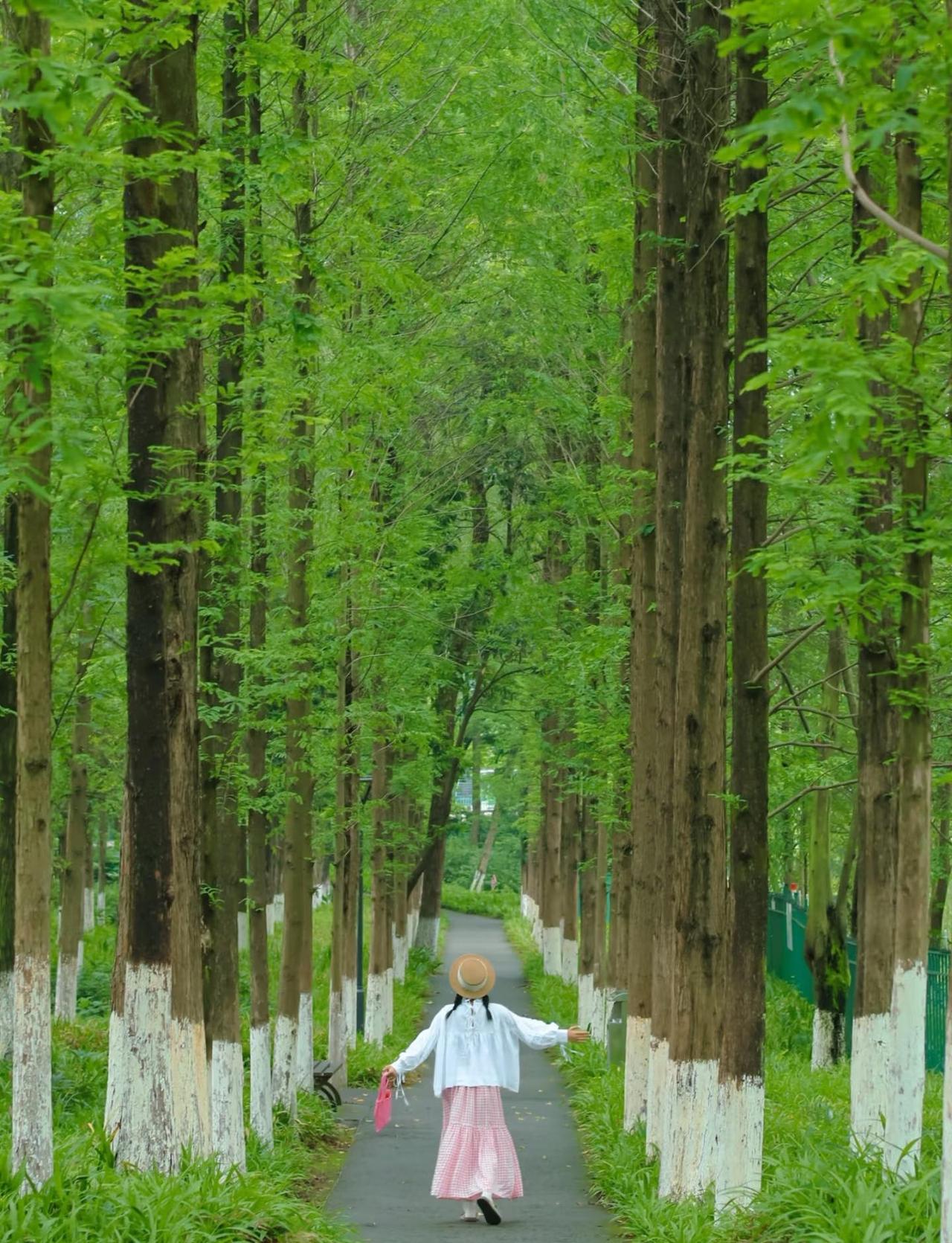 地铁直达！！迄今为止成都我最爱的户外氧吧🍃
又发现了成都的宝藏地citywal