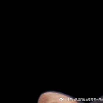 每日一善[超话]❤️每日一善 ❤️阳光信用 ​每个人的内心都有一片未被触及的柔软