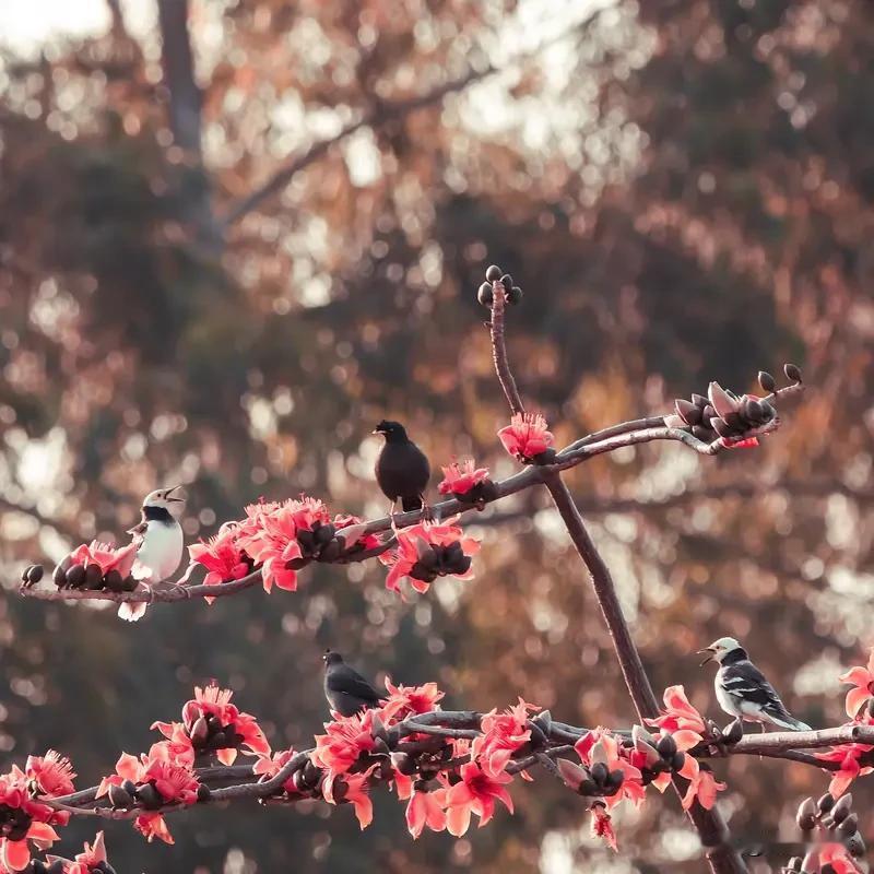 对联这玩意儿，真是中华文化的宝藏。就说“远看青山绿水”这上联，一下子就把人带进了