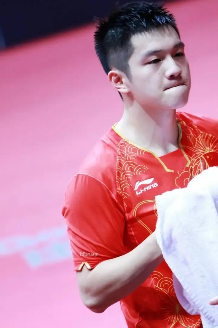王铎：樊振东与央视评论员

朋友们，最近樊振东出走德甲的事，突然冲上了热搜。说什
