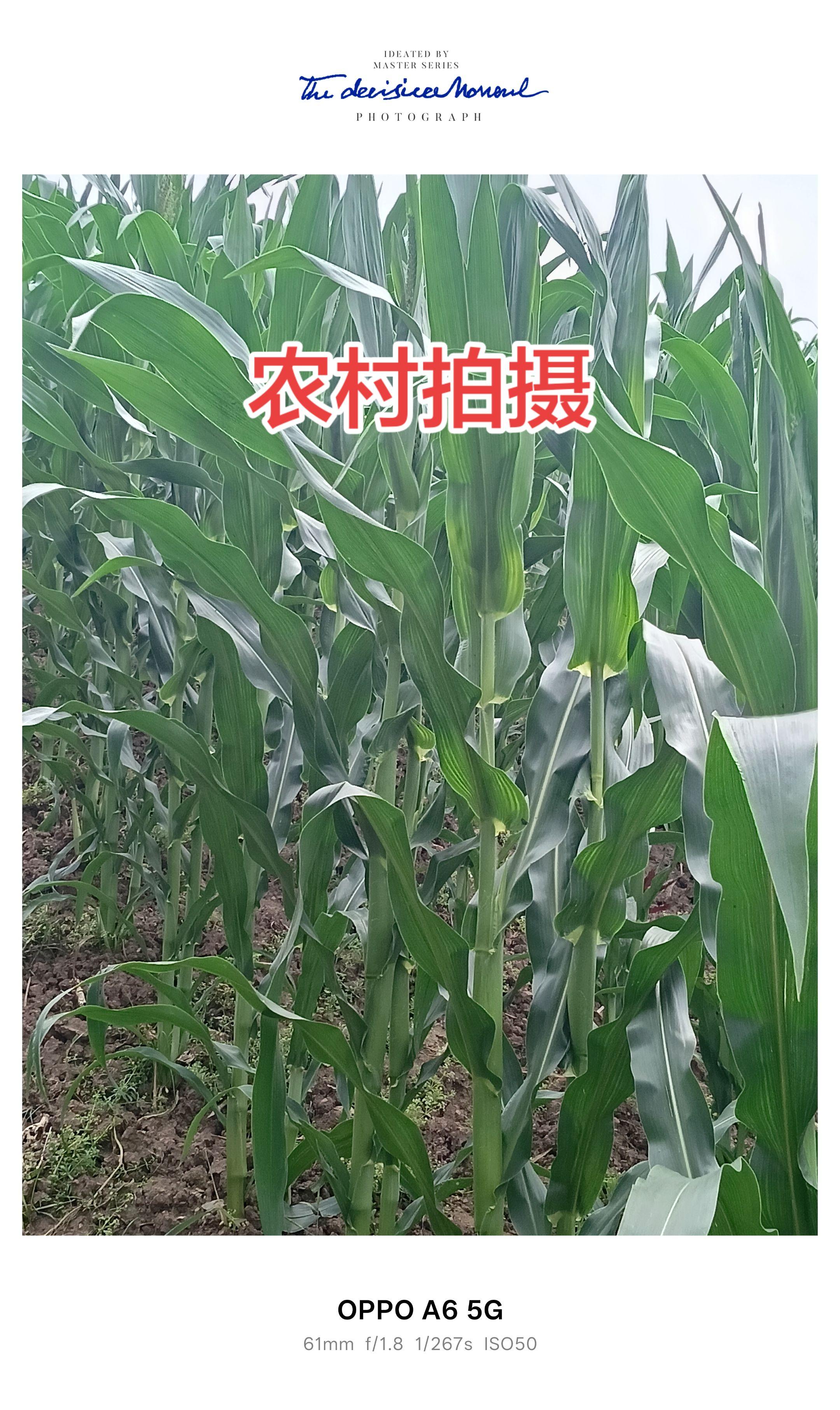 …展开！