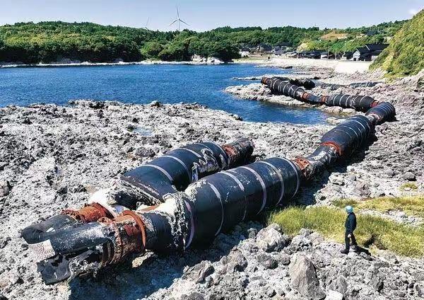 在2025年圣诞，日本石川县志贺町那片满是碎石的荒凉滩涂上，一位当地渔民被一阵怪