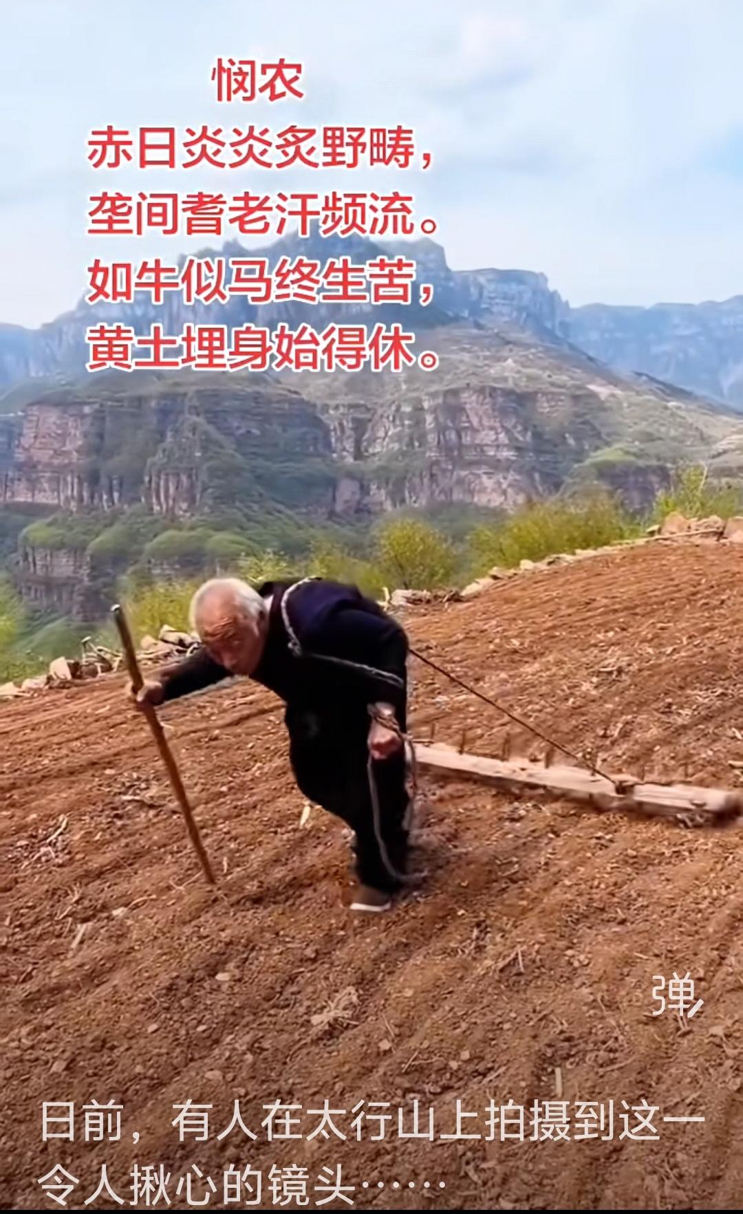 向老哥学习，向老哥致敬！