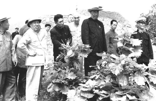 1959年5月28日，朱德同董必武、林枫视察葫芦岛港口。