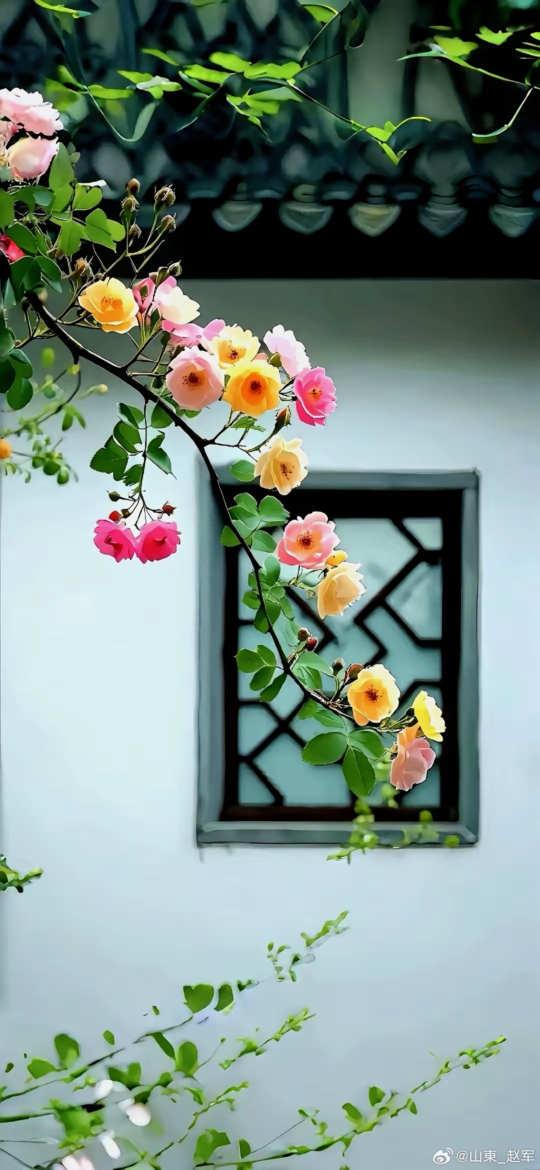 “致良知”与“心即理”是王阳明心学的核心命题，本质是“向内求理、以良知为准则”。