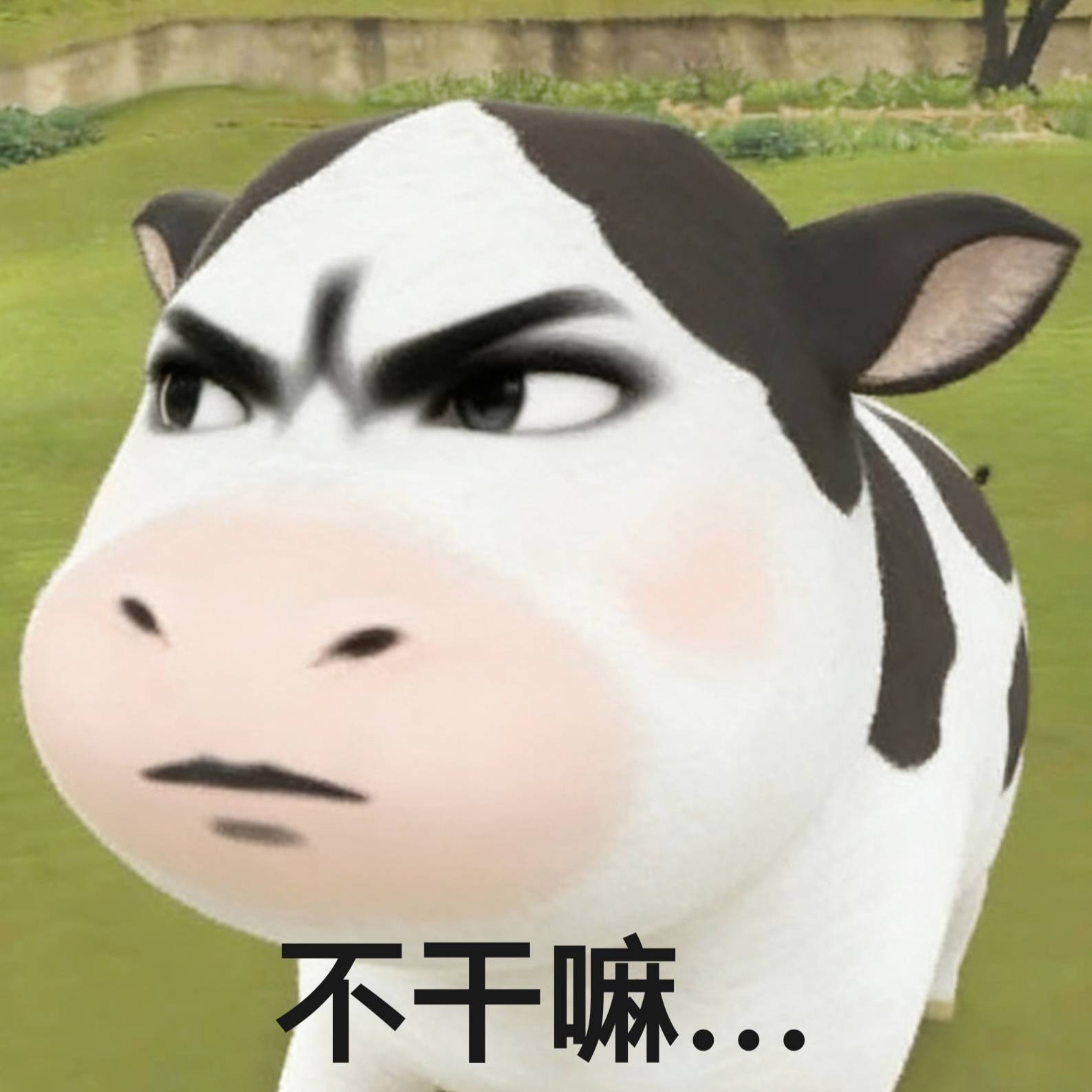 分享图片 ​​​
