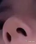 赵露思这鼻子动过没 ​​​