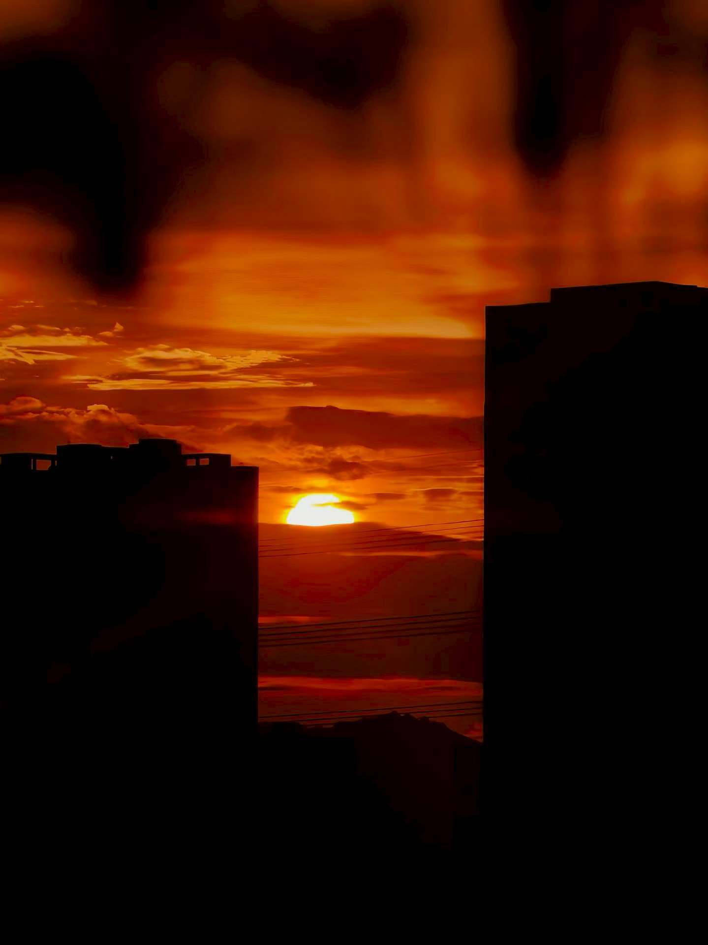 🌅 