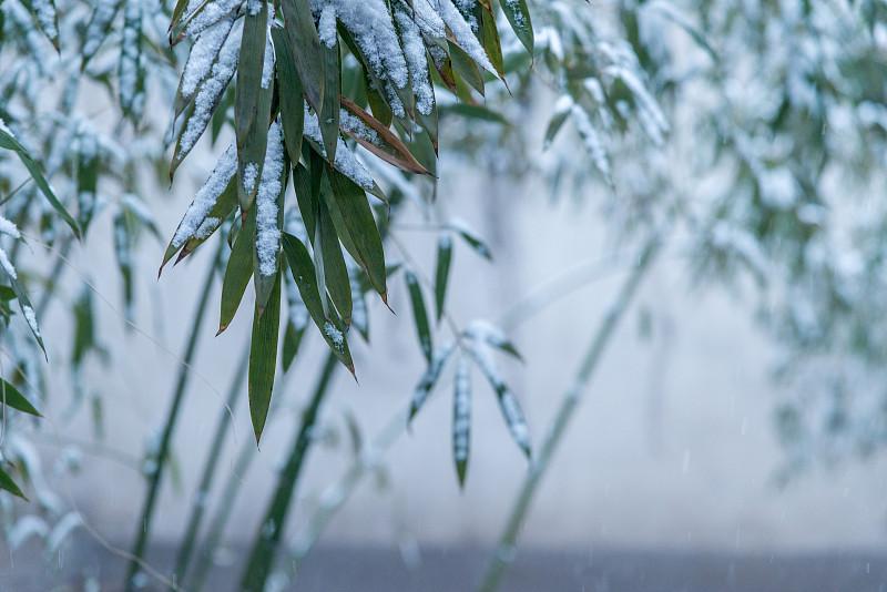 风雪压我两三年，加在一起是五年。。